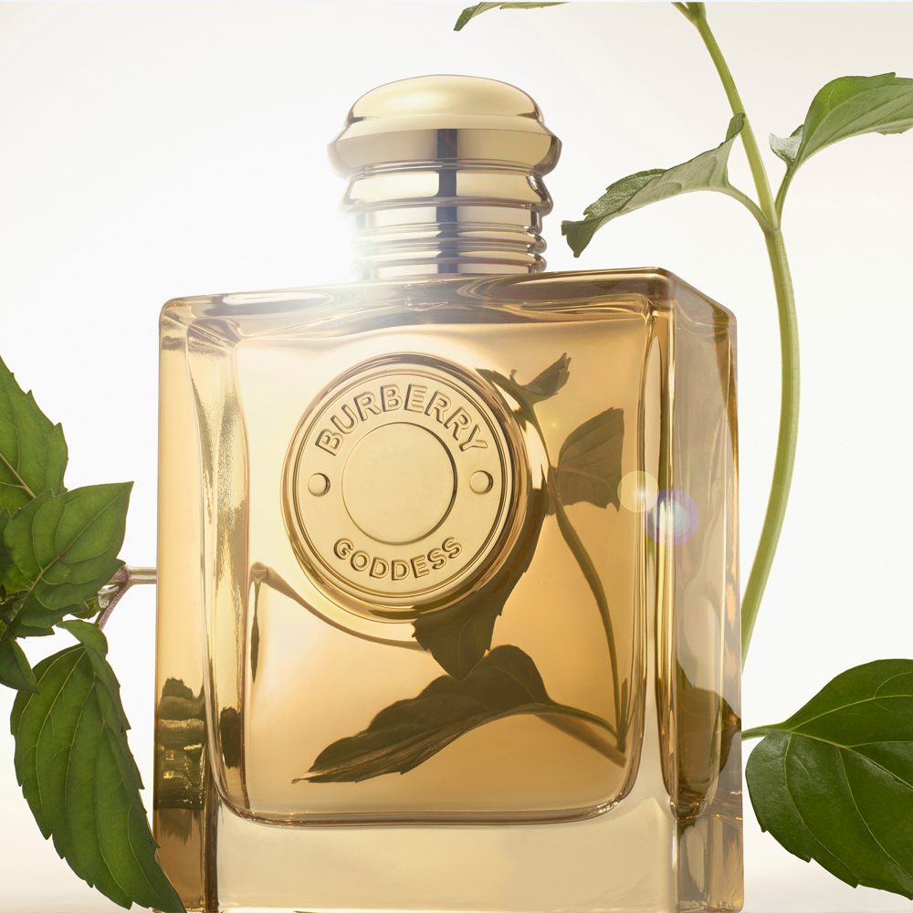 Burberry Goddess Intense Eau De Parfum 100ml | Jarrolds, Norwich